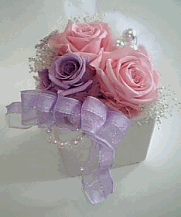 Princess:�I�[����