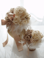 �v���U�[�u�h�t�����[�X�N�[���i�����j