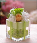 �v���U�[�u�h�t�����[����h�o�e�`�i�X�N�[��,����,���i�j