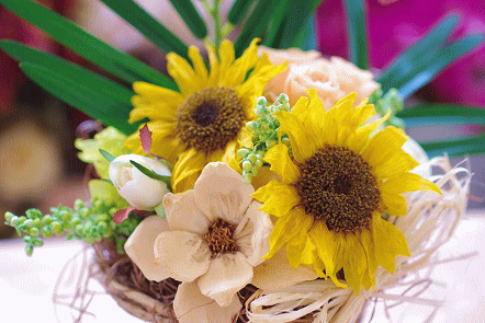 �v���U�[�u�h�t�����[����h�o�e�`�i�X�N�[��,����,���i�j