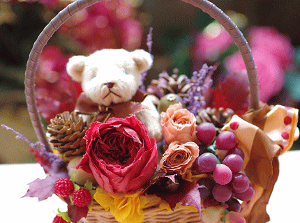 �v���U�[�u�h�t�����[����h�o�e�`�i�X�N�[��,����,���i�j