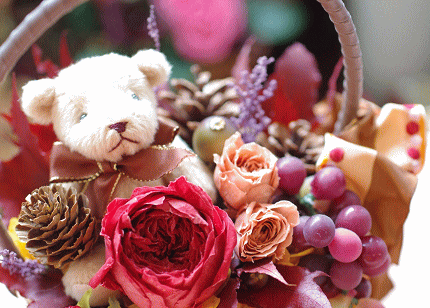 �v���U�[�u�h�t�����[����h�o�e�`�i�X�N�[��,����,���i�j