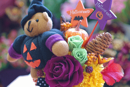 �v���U�[�u�h�t�����[����h�o�e�`�i�X�N�[��,����,���i�j