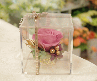 �v���U�[�u�h�t�����[����h�o�e�`�i�X�N�[��,����,���i�j