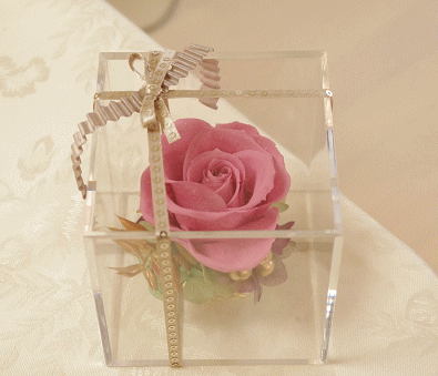 �v���U�[�u�h�t�����[����h�o�e�`�i�X�N�[��,����,���i�j