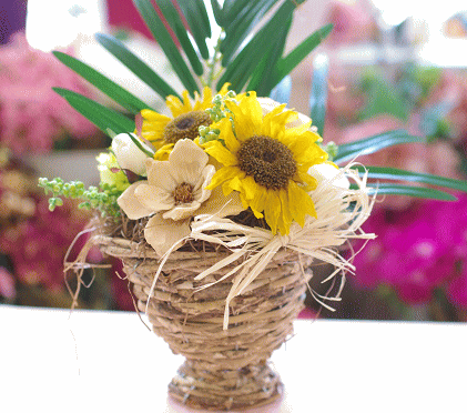 �v���U�[�u�h�t�����[����h�o�e�`�i�X�N�[��,����,���i�j