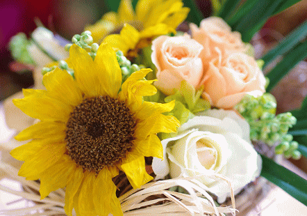 �v���U�[�u�h�t�����[����h�o�e�`�i�X�N�[��,����,���i�j