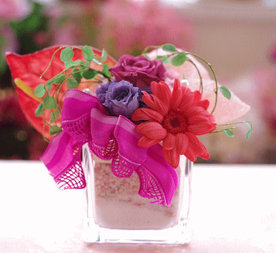 �v���U�[�u�h�t�����[����h�o�e�`�i�X�N�[��,����,���i�j