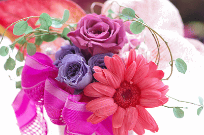 �v���U�[�u�h�t�����[����h�o�e�`�i�X�N�[��,����,���i�j