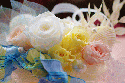 �v���U�[�u�h�t�����[����h�o�e�`�i�X�N�[��,����,���i�j