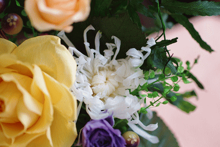 �v���U�[�u�h�t�����[����h�o�e�`�i�X�N�[��,����,���i�j