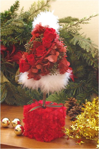 �v���U�[�u�h�t�����[����h�o�e�`�i�X�N�[��,����,���i�j