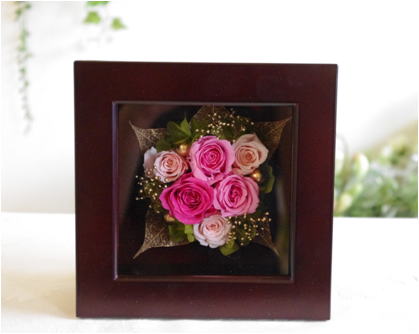 �v���U�[�u�h�t�����[����h�o�e�`�i�X�N�[��,����,���i�j