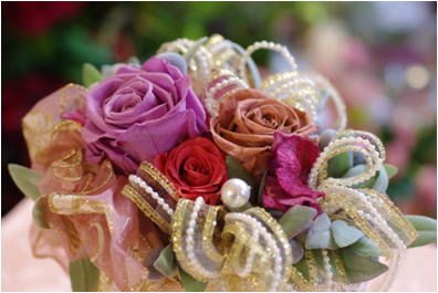 �v���U�[�u�h�t�����[����h�o�e�`�i�X�N�[��,����,���i�j