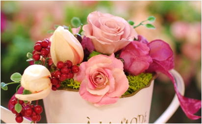 �v���U�[�u�h�t�����[����h�o�e�`�i�X�N�[��,����,���i�j