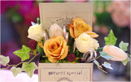 �v���U�[�u�h�t�����[����h�o�e�`�i�X�N�[��,����,���i�j