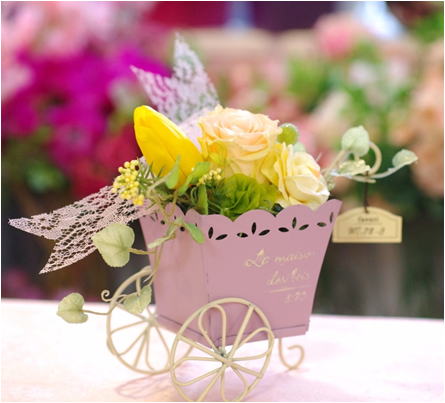 �v���U�[�u�h�t�����[����h�o�e�`�i�X�N�[��,����,���i�j