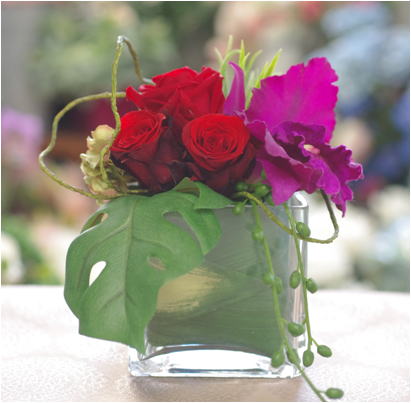 �v���U�[�u�h�t�����[����h�o�e�`�i�X�N�[��,����,���i�j