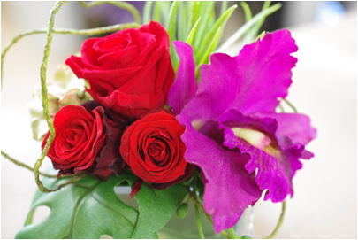 �v���U�[�u�h�t�����[����h�o�e�`�i�X�N�[��,����,���i�j