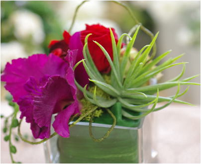 �v���U�[�u�h�t�����[����h�o�e�`�i�X�N�[��,����,���i�j