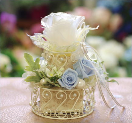 �v���U�[�u�h�t�����[����h�o�e�`�i�X�N�[��,����,���i�j