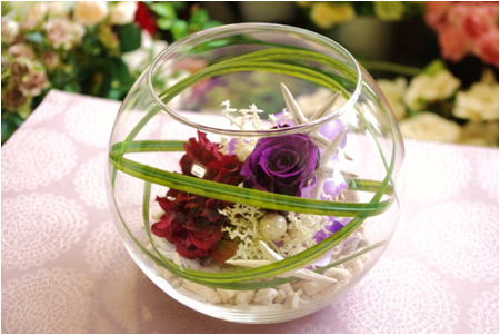 �v���U�[�u�h�t�����[����h�o�e�`�i�X�N�[��,����,���i�j