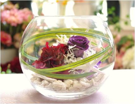 �v���U�[�u�h�t�����[����h�o�e�`�i�X�N�[��,����,���i�j