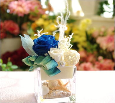 �v���U�[�u�h�t�����[����h�o�e�`�i�X�N�[��,����,���i�j