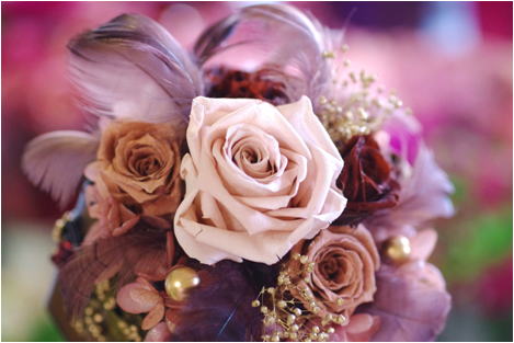 �v���U�[�u�h�t�����[����h�o�e�`�i�X�N�[��,����,���i�j