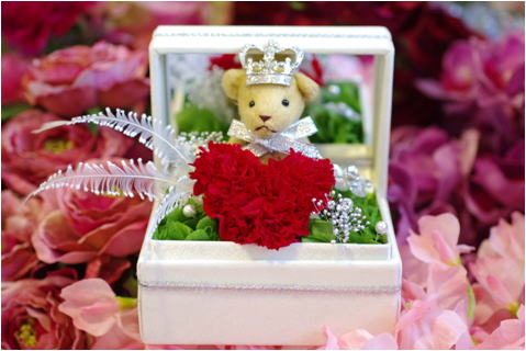 �v���U�[�u�h�t�����[����h�o�e�`�i�X�N�[��,����,���i�j