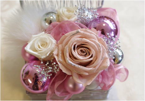 �v���U�[�u�h�t�����[����h�o�e�`�i�X�N�[��,����,���i�j