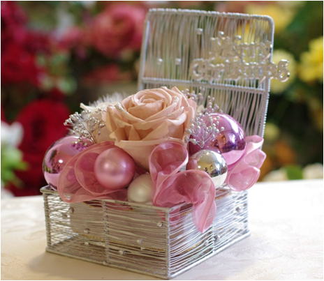 �v���U�[�u�h�t�����[����h�o�e�`�i�X�N�[��,����,���i�j