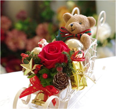 �v���U�[�u�h�t�����[����h�o�e�`�i�X�N�[��,����,���i�j