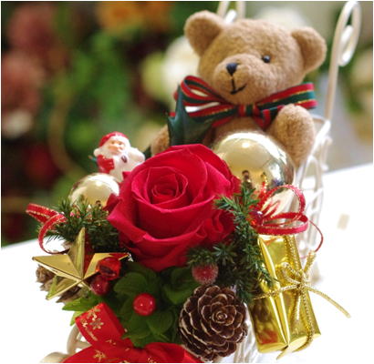 �v���U�[�u�h�t�����[����h�o�e�`�i�X�N�[��,����,���i�j