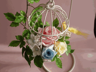 �v���U�[�u�h�t�����[�F�t�̃A�����W�R