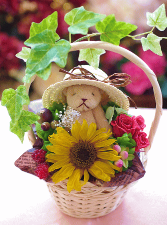 �v���U�[�u�h�t�����[����h�o�e�`�i�X�N�[��,����,���i�j