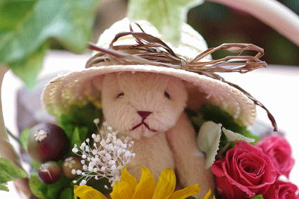 �v���U�[�u�h�t�����[����h�o�e�`�i�X�N�[��,����,���i�j