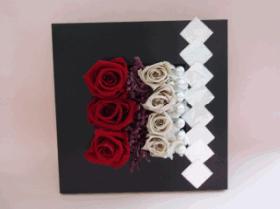 �v���U�[�u�h�t�����[�F�o�����^�C���A�����W�R