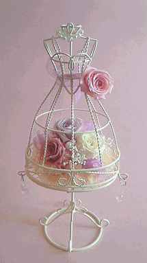 �W���[���u���C�h�PDAY���b�X���P