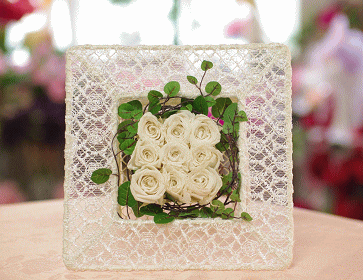 �v���U�[�u�h�t�����[����h�o�e�`�i�X�N�[��,����,���i�j