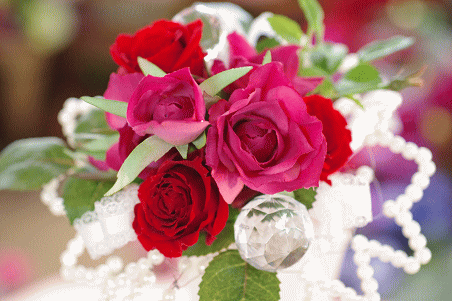 �v���U�[�u�h�t�����[����h�o�e�`�i�X�N�[��,����,���i�j