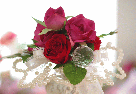 �v���U�[�u�h�t�����[����h�o�e�`�i�X�N�[��,����,���i�j