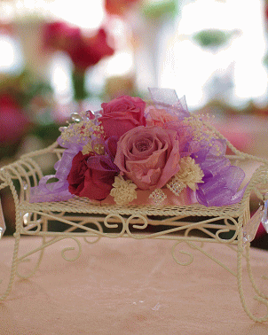 �v���U�[�u�h�t�����[����h�o�e�`�i�X�N�[��,����,���i�j