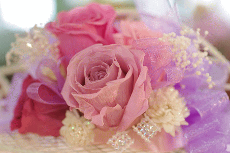 �v���U�[�u�h�t�����[����h�o�e�`�i�X�N�[��,����,���i�j