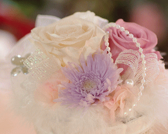 �v���U�[�u�h�t�����[����h�o�e�`�i�X�N�[��,����,���i�j