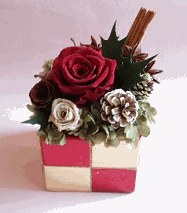 �v���U�[�u�h�t�����[�F�N���X�}�X�A�����W�Q