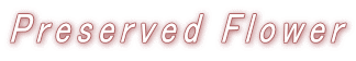 Preserved Flower