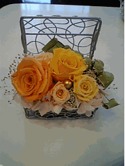 �v���U�[�u�h�t�����[�F��̓��Q