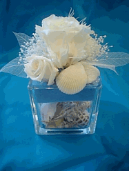 �v���U�[�u�h�t�����[�F�ăA�����W