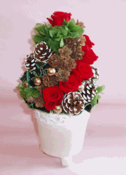 �v���U�[�u�h�t�����[�F�N���X�}�X�A�����W�T